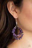 Canyon Rock Art Purple Paparazzi Earrings All Eyes On U Jewelry Store